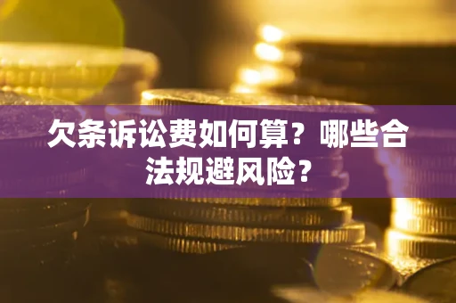 北京欠条诉讼费如何算？哪些合法规避风险？