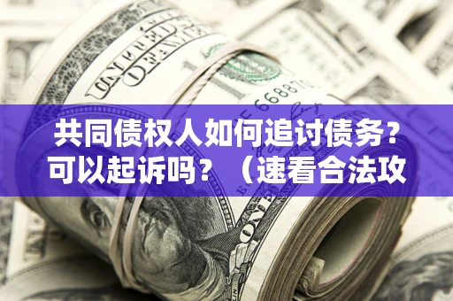 北京共同债权人如何追讨债务？可以起诉吗？（速看合法攻略）