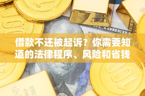 北京借款不还被起诉？你需要知道的法律程序、风险和省钱技巧